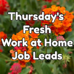 fresh work at home job leads november 10th 2022