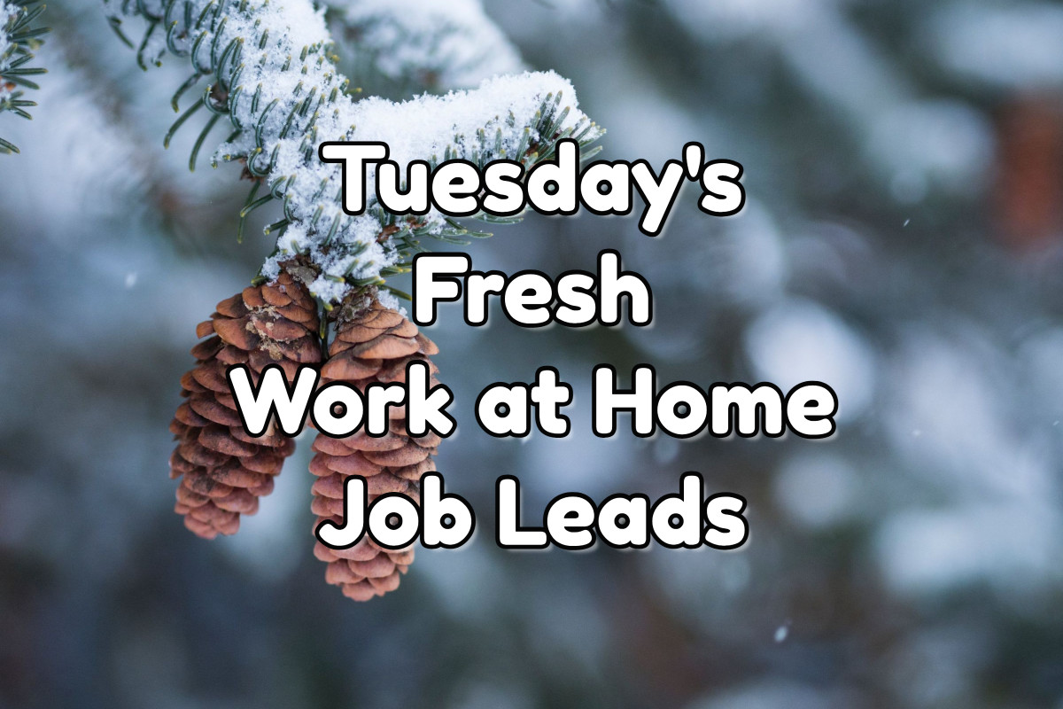 Fresh Work at Home Job Leads - Tuesday, December 27th, 2022