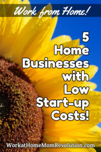 5 Home Businesses with Low Start-Up Costs pin