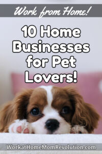 home businesses for pet lovers