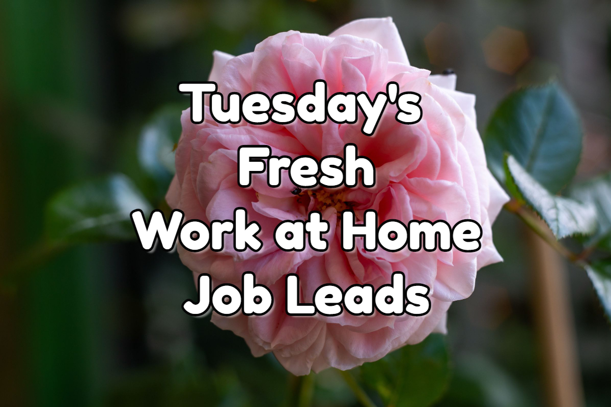 Fresh Work at Home Job Leads - Tuesday, March 7th, 2023